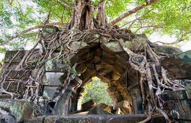 Banteay Srei Temple Tour 1 Day